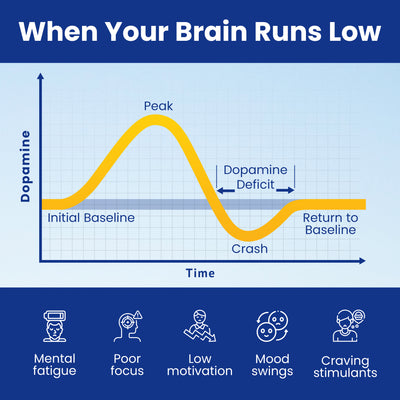 Mind Solutions Dopamine Brain Boost